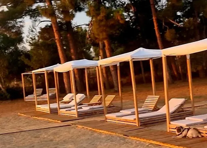 Villa King Filippos - Royal Beachfront - Sithonia Chalkidiki * 尼基季
